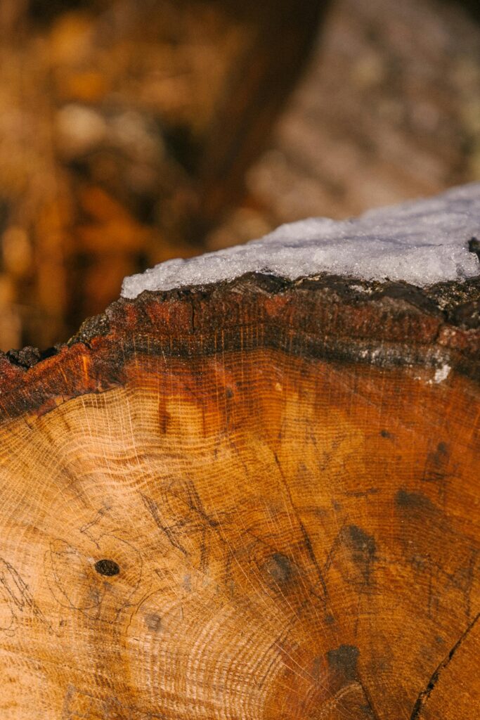 Neige/Glace : Retirez délicatement la neige sans outils métalliques. Si vous utilisez un déglaçant, optez pour du sable (évitez le sel qui peut laisser des traces et impacter la quincaillerie).